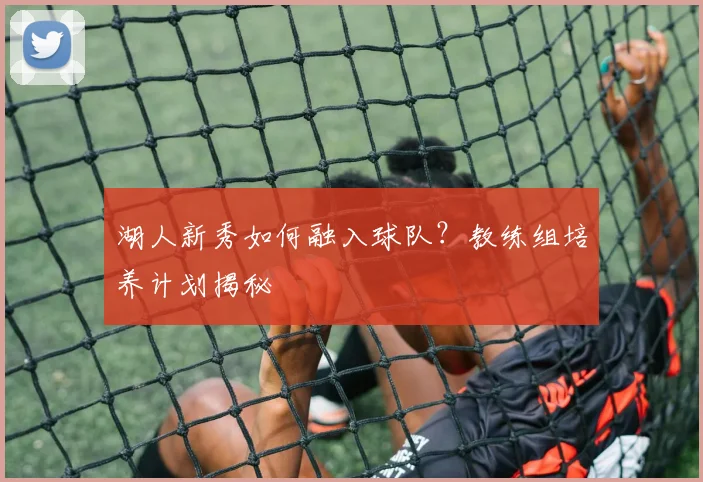 湖人新秀如何融入球队?教练组培养计划揭秘