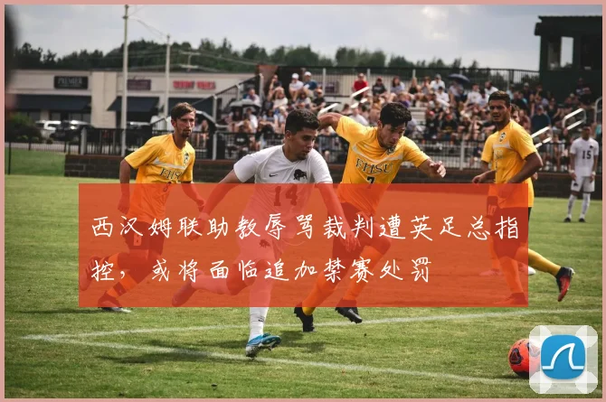 西汉姆联助教辱骂裁判遭英足总指控,或将面临追加禁赛处罚